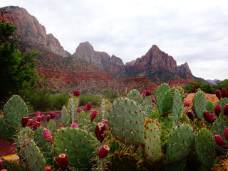 Superstition Mountains in Arizona